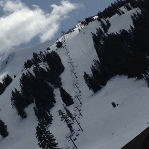 Meet your Posher, Madison ramsey